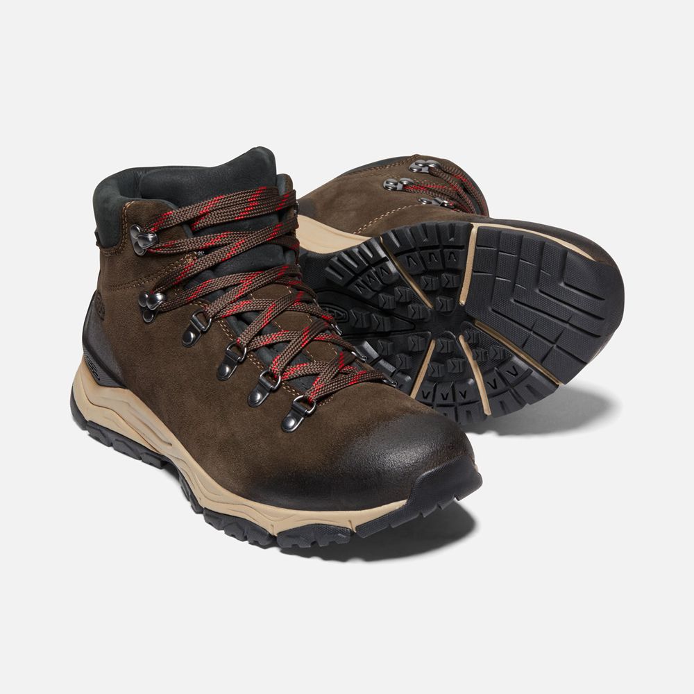 Botas de Seguridad Keen Mexico Marrom - Hombre Feldberg Apx Waterproof - TR1360429